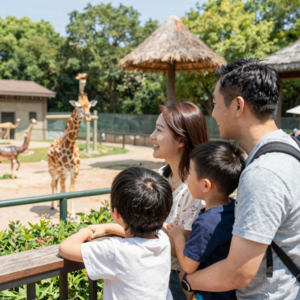 Family Fun Day at Zoo Miami