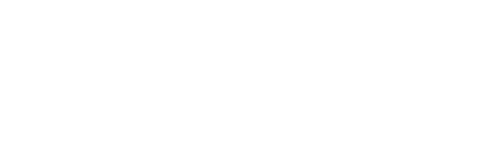 PlaceAut logo